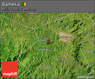 Satellite 3D Map of Bameka