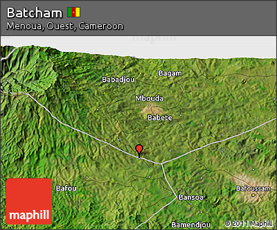 Satellite 3D Map of Batcham