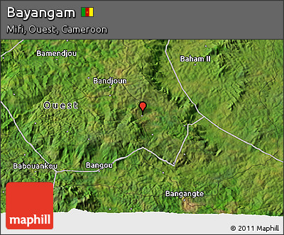 Satellite 3D Map of Bayangam