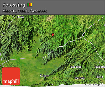 Satellite 3D Map of Folessing