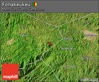 Satellite 3D Map of Fonakeukeu