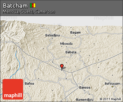 Shaded Relief 3D Map of Batcham