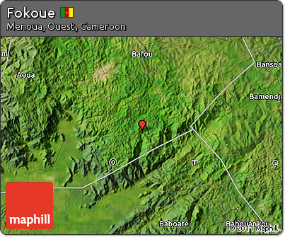 Satellite Map of Fokoue