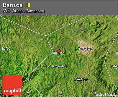 Satellite Map of Bansoa