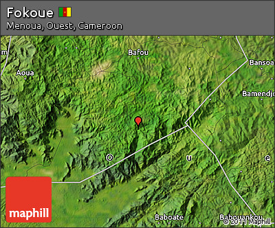 Satellite Map of Fokoue