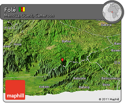 Satellite Panoramic Map of Folé