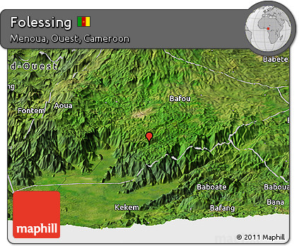 Satellite Panoramic Map of Folessing