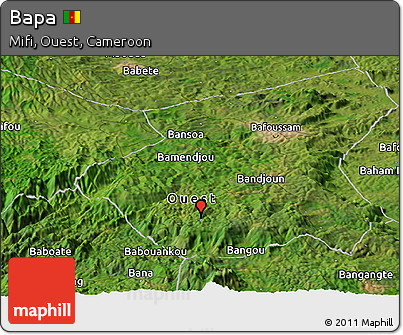Satellite Panoramic Map of Bapa