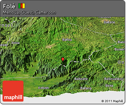 Satellite Panoramic Map of Folé