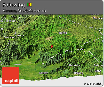 Satellite Panoramic Map of Folessing