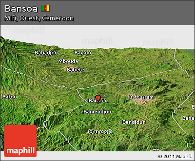 Satellite Panoramic Map of Bansoa