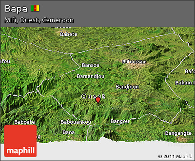 Satellite Panoramic Map of Bapa