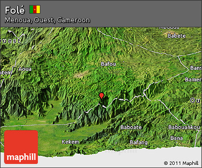 Satellite Panoramic Map of Folé
