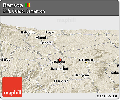 Shaded Relief Panoramic Map of Bansoa