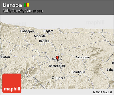 Shaded Relief Panoramic Map of Bansoa