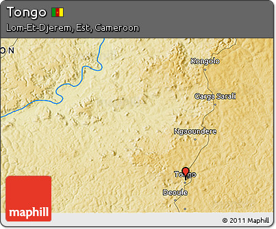 Physical 3D Map of Tongo