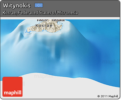 Shaded Relief Panoramic Map of Witynokis