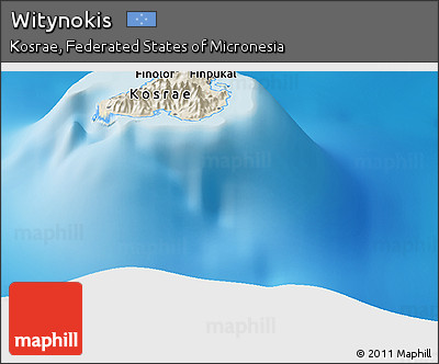 Shaded Relief Panoramic Map of Witynokis