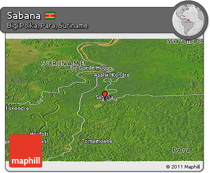 Satellite Panoramic Map of Sabana