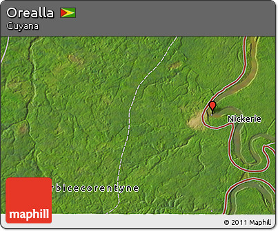 Satellite 3D Map of Orealla