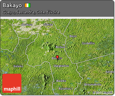 Satellite 3D Map of Bakayo