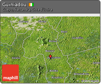 Satellite 3D Map of Guiniadou