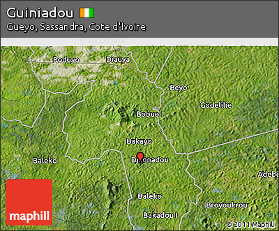 Satellite 3D Map of Guiniadou