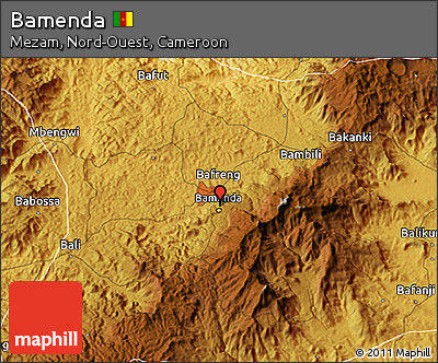 Physical 3D Map of Bamenda