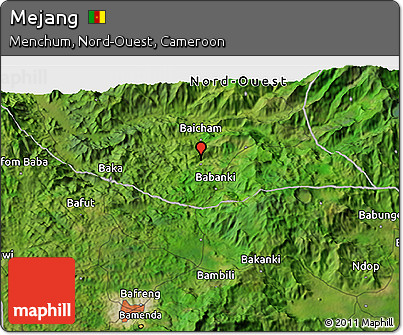 Satellite 3D Map of Mejang