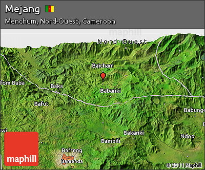 Satellite 3D Map of Mejang