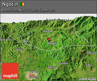 Satellite 3D Map of Ngotin