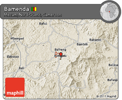 Shaded Relief 3D Map of Bamenda