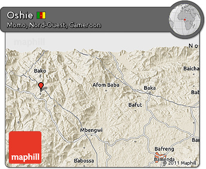 Shaded Relief 3D Map of Oshie