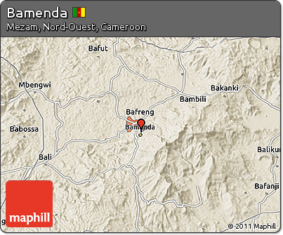 Shaded Relief 3D Map of Bamenda
