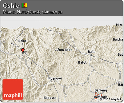 Shaded Relief 3D Map of Oshie