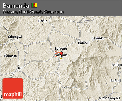 Shaded Relief 3D Map of Bamenda
