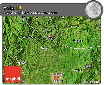 Satellite Map of Baka