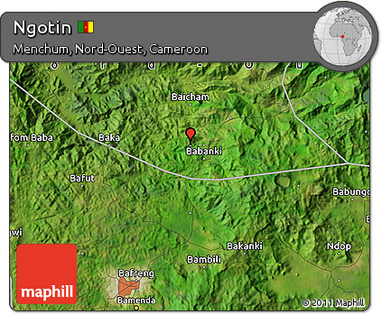 Satellite Map of Ngotin