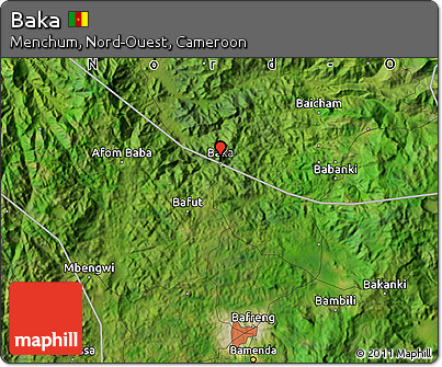 Satellite Map of Baka