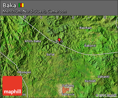 Satellite Map of Baka