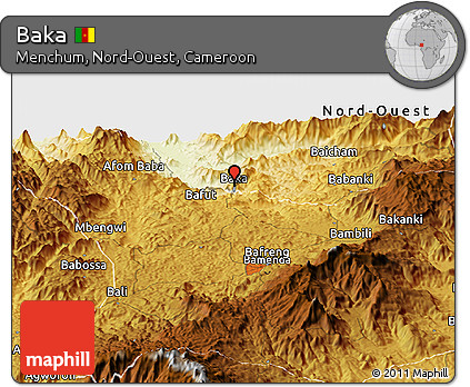 Physical Panoramic Map of Baka