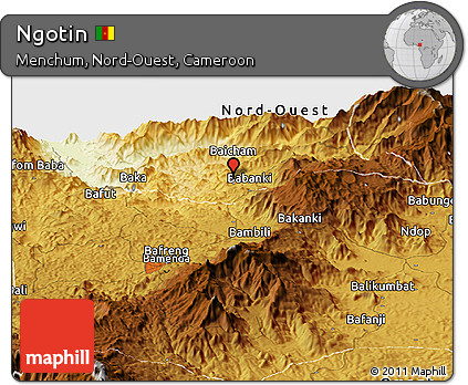 Physical Panoramic Map of Ngotin