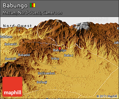 Physical Panoramic Map of Babungo