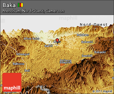 Physical Panoramic Map of Baka