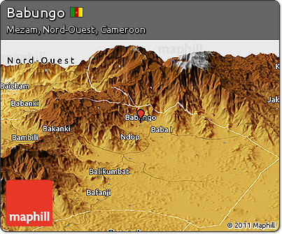 Physical Panoramic Map of Babungo