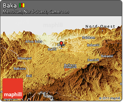 Physical Panoramic Map of Baka