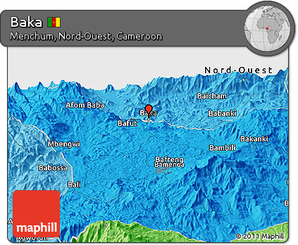 Political Panoramic Map of Baka
