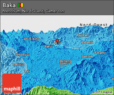 Political Panoramic Map of Baka