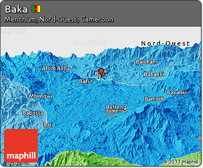 Political Panoramic Map of Baka