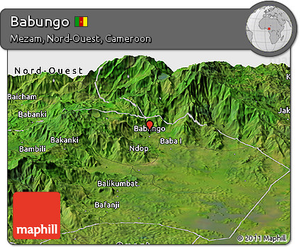 Satellite Panoramic Map of Babungo